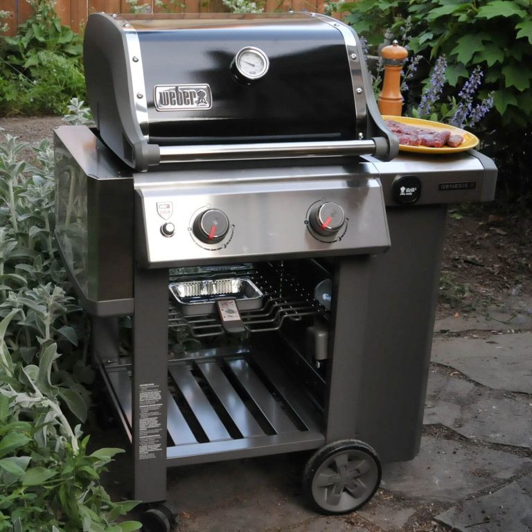 A Weber Gas Grill