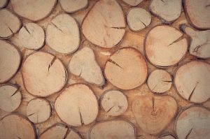 Wood logs